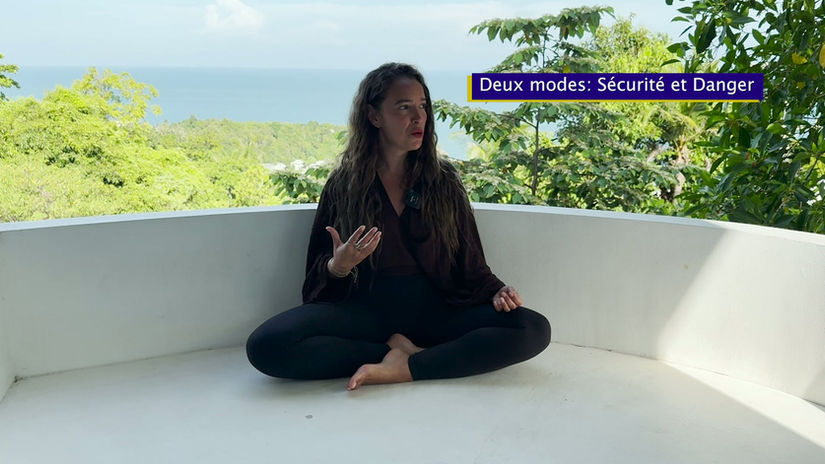 Les Bases Du Yoga Trauma